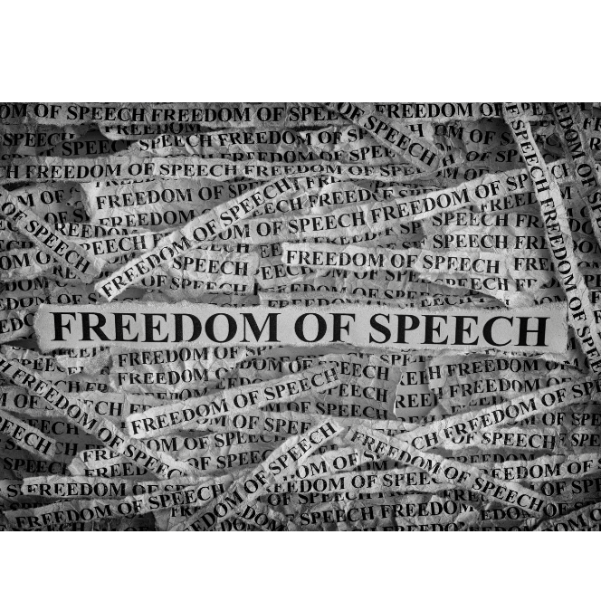 BSA Statement on Freedom of Speech in Universities Everyday Society